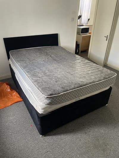 Professional Flat Mate Wanted.  Main Photo