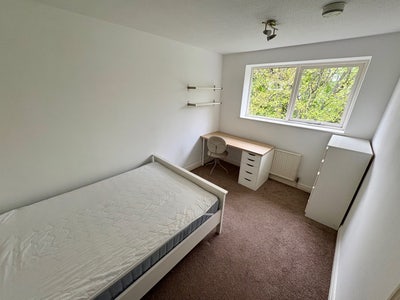 Immaculate Freshly painted large double room  Main Photo