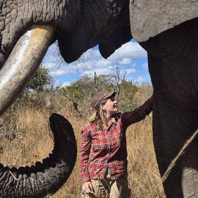 Looking for a safe and happy home Main Photo