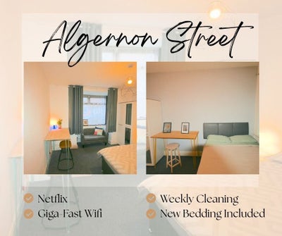 Affordable Nice Spec Rooms Main Photo