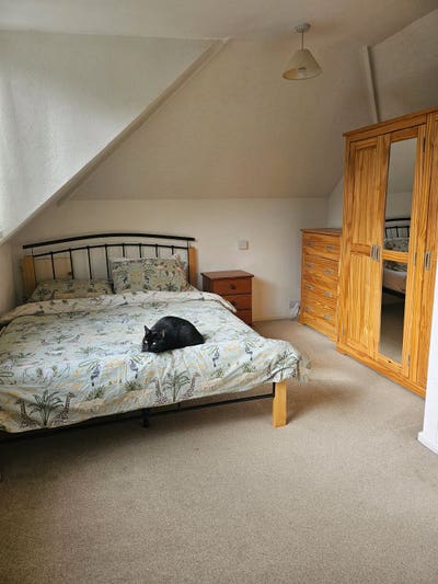 Friendly houseshare in Surrey. Main Photo