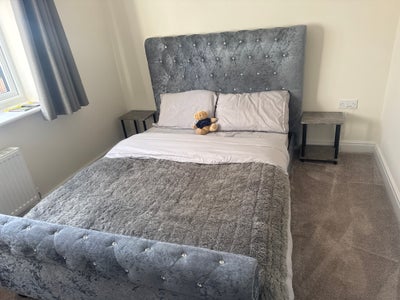 Double bedroom to rent Main Photo