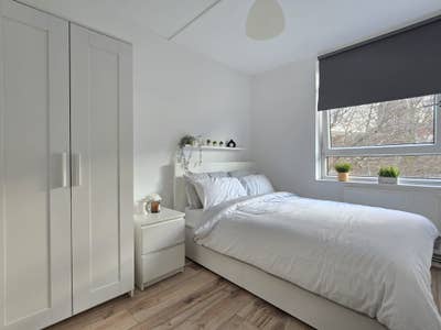 Double Room for Rent in Mile End E3 Main Photo