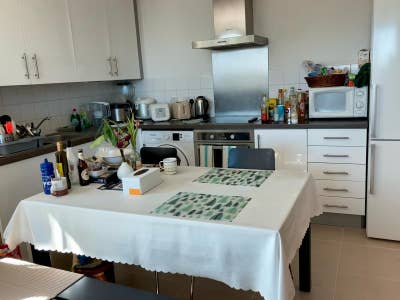 Room for Single Lady in Zone One Main Photo