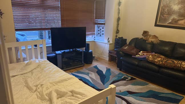 Large double room/studio with en suite room  Main Photo