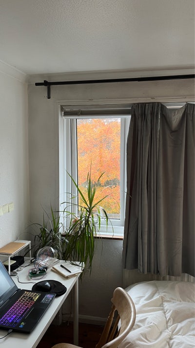 Room sublet in lovely house in quiet area  Main Photo