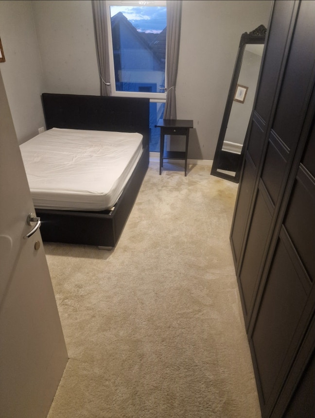 Spacious  Double Room for Female Main Photo