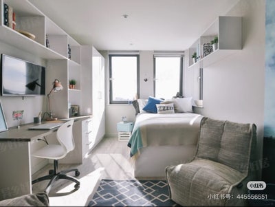 Student Apartment Rent Main Photo