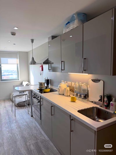 Student Apartment Rent Main Photo