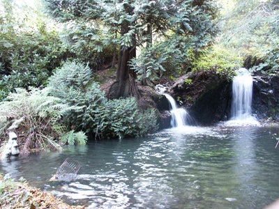 Caravan + Secluded Garden in Woodland & Waterfalls Main Photo