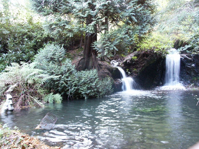 Caravan + Secluded Garden in Woodland & Waterfalls Main Photo