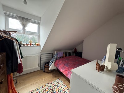 Small Double Room in Cosy Flat Main Photo
