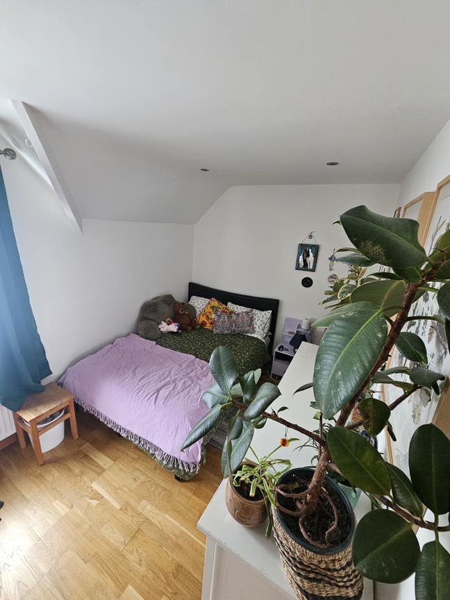 Lovely Double Room Available from May Main Photo