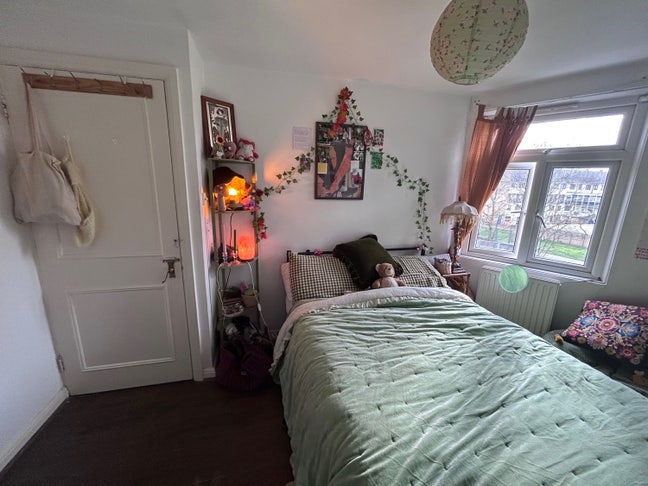 Room to rent in homely girls flat in Peckham Main Photo