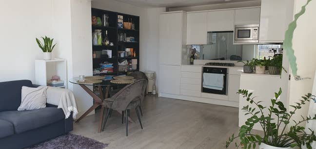 Room Available 2 mins walk from Putney Bridge Main Photo