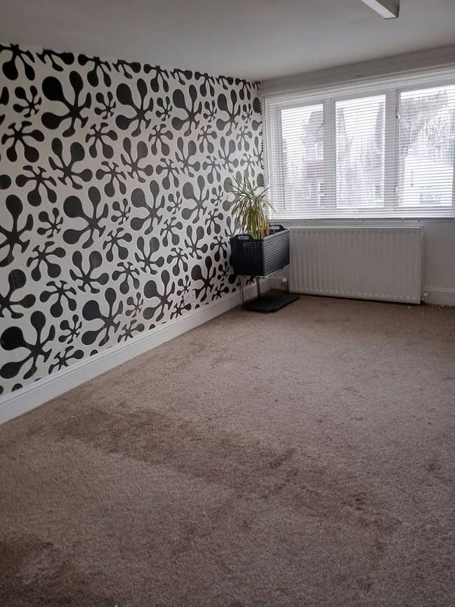 Double room  Main Photo