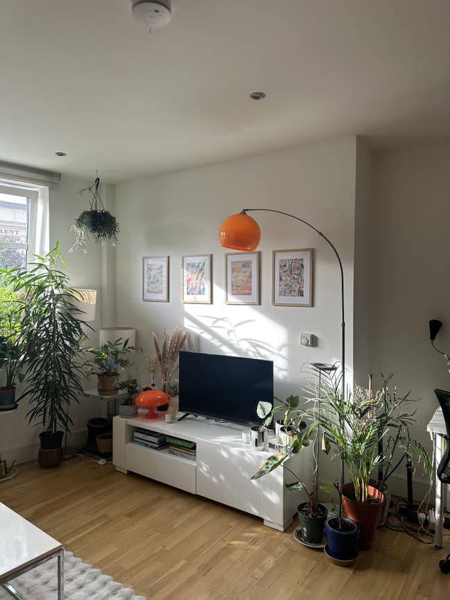 Bright cosy room in the heart of Greenwich Main Photo