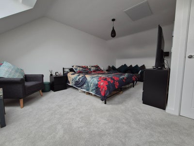 The "Premium Studio" Feel Main Photo