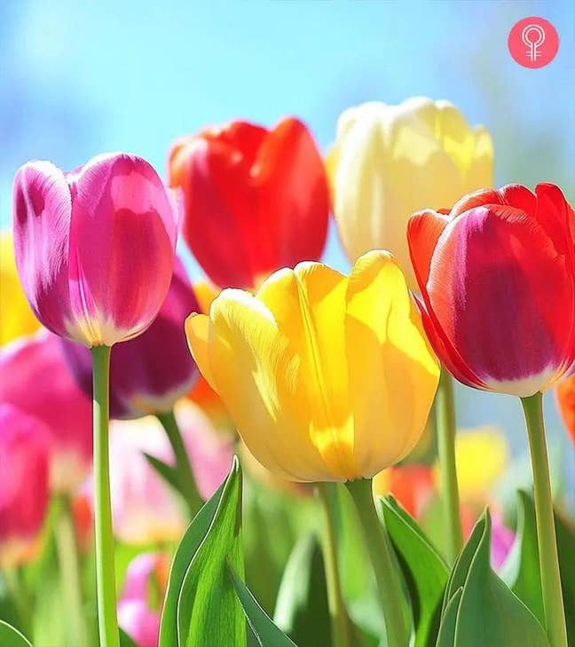 Professional | room with desk needed | 1-3 months Main Photo