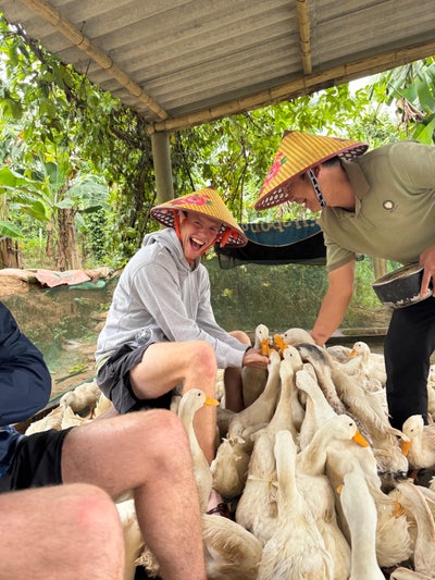 The great house hunt Main Photo