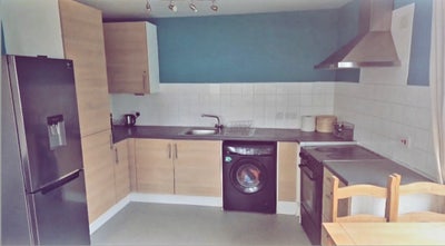 The Entire 1 bedroom apartment  all bills included Main Photo