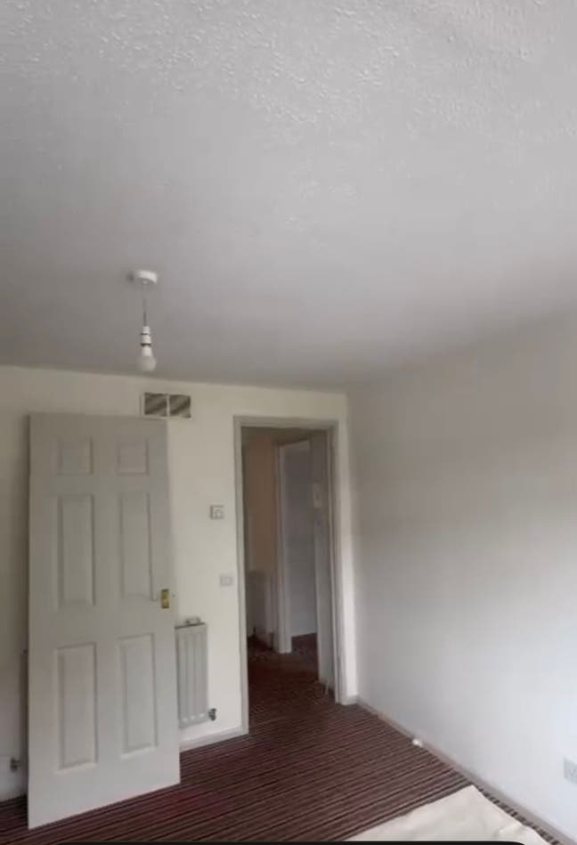 Newly Renovated 1 Bedroom Flat  Main Photo