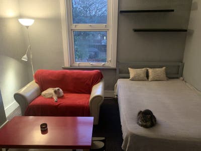 Bright & Fully Furnished Double Room – Leytonstone Main Photo