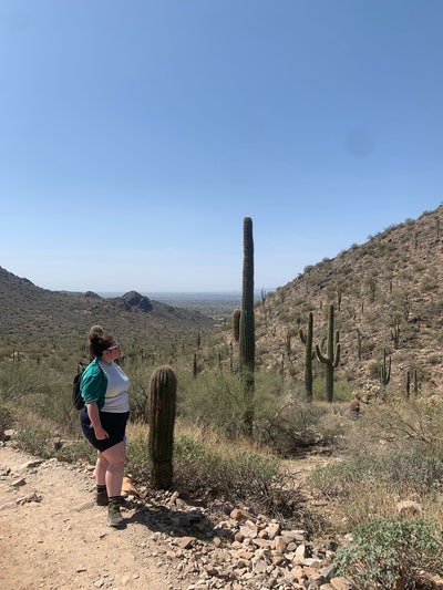 Professional looking for room in Manchester! Main Photo