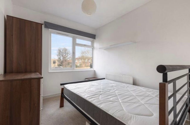 2/3 month sublet  in Social House Main Photo