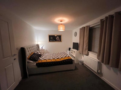 2 Rooms Available in a Professional 3-Bed House Main Photo