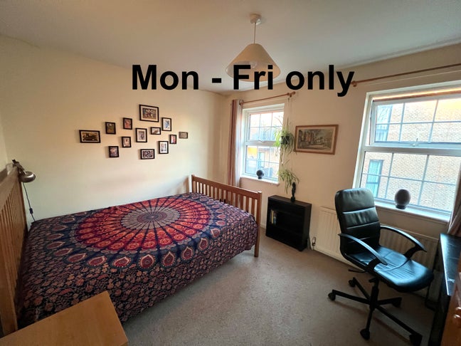 Dalston Monday to Friday quiet friendly houseshare Main Photo