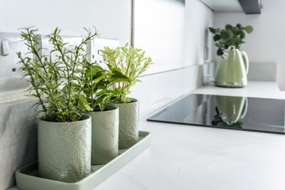 Modern Living in Greenwood Road - PE7 Main Photo