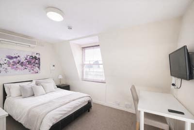 Bright Double Studio with AC & Full Kitchen Main Photo