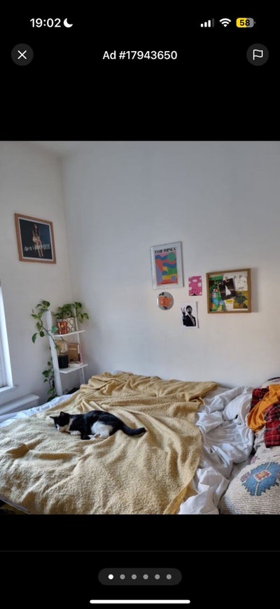 Room in friendly House Share Main Photo