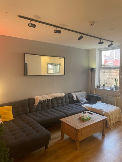 Friendly house looking for new housemate 🌈 ✨ Main Photo