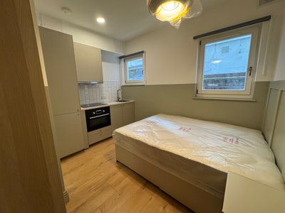 Brand Newly Refurbished Studio with Garden!  Main Photo