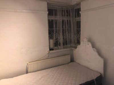 One  Single  room for  rent Main Photo