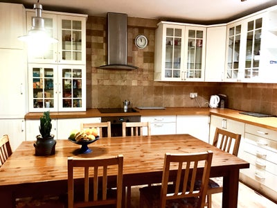 Spacious Garden Flat Main Photo