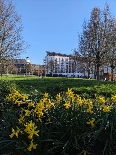 Spacious SE1 Furnished En-Suite Main Photo