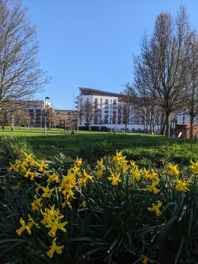 Spacious SE1 Furnished En-Suite Main Photo