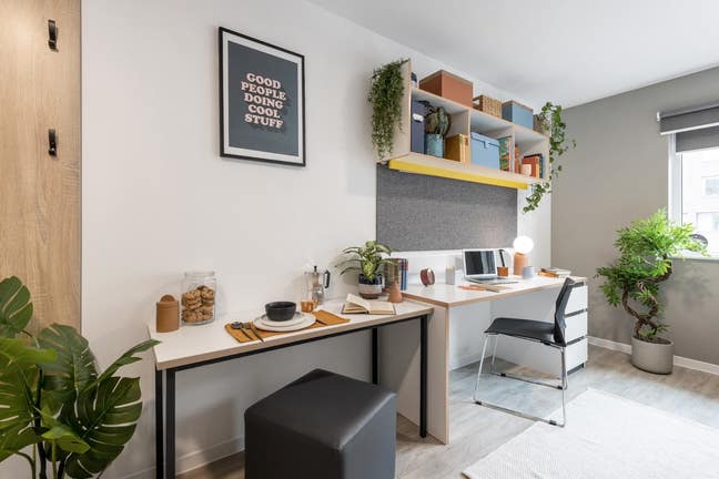 September 2026/27 | Bills Included | Premium Studi Main Photo