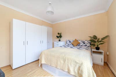 Large Double Available End of March Main Photo