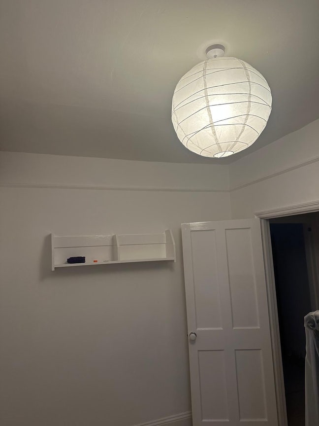 Beautiful single room available  Main Photo