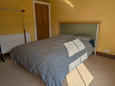 Sun-drenched room in lovely NR1 house Main Photo