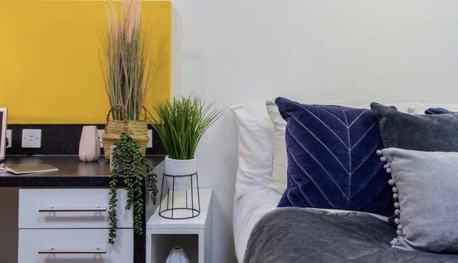 September 2026/27 | Bills Included | Platinum Stud Main Photo