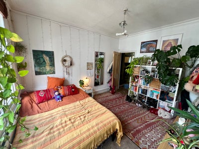 Large Double Room in Lower Clapton  Main Photo