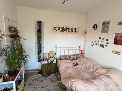 Beautiful room near Swiss Cottage  Main Photo