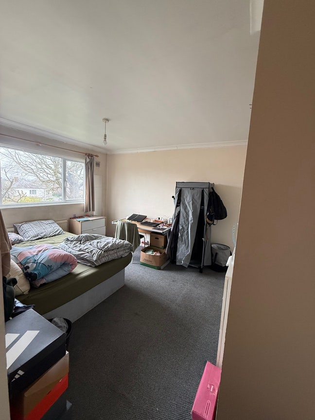 Double Room for rent in Hatfield  Main Photo