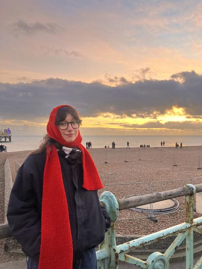 Friendly gal looking for a nice room to rent!  Main Photo