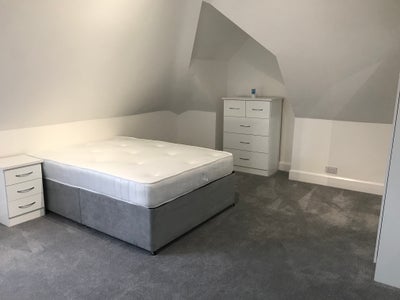 Large Double Room - female flat share  Main Photo